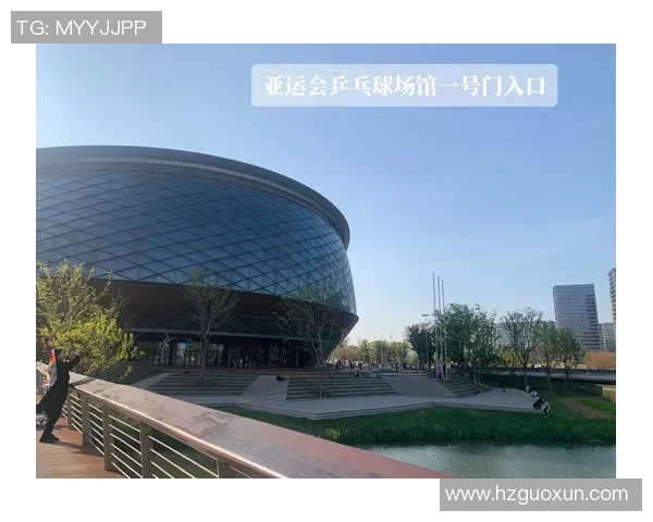 杭州乒乓球队运营分析：成功经验与不足之处的深度剖析