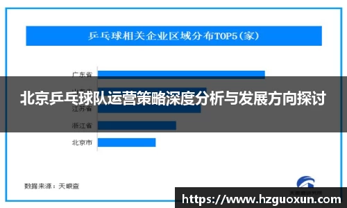 北京乒乓球队运营策略深度分析与发展方向探讨